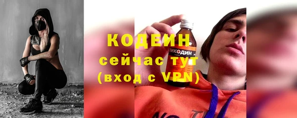дживик Костерёво