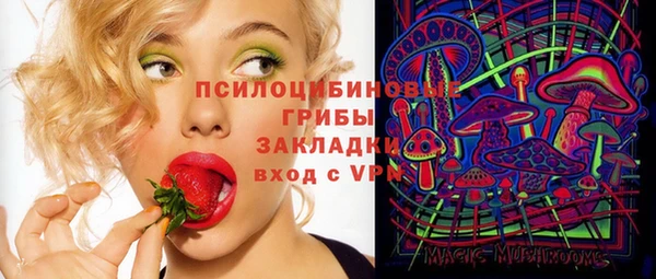 дживик Костерёво