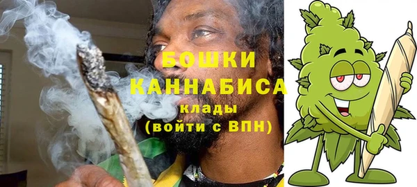 дживик Костерёво