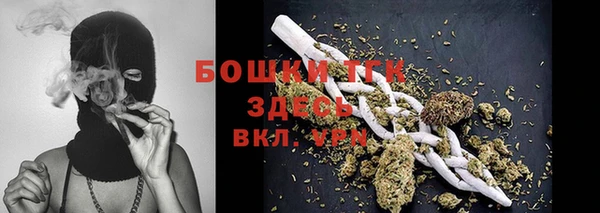 дживик Костерёво